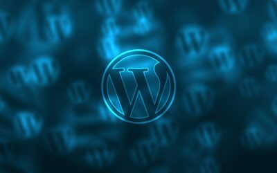 Quel hébergement pour un site WordPress ?