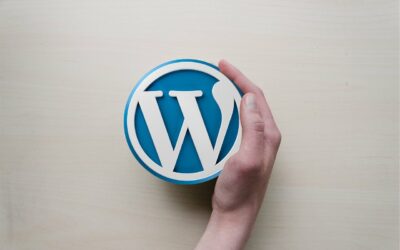 Quelles sont les alternatives à WordPress ?